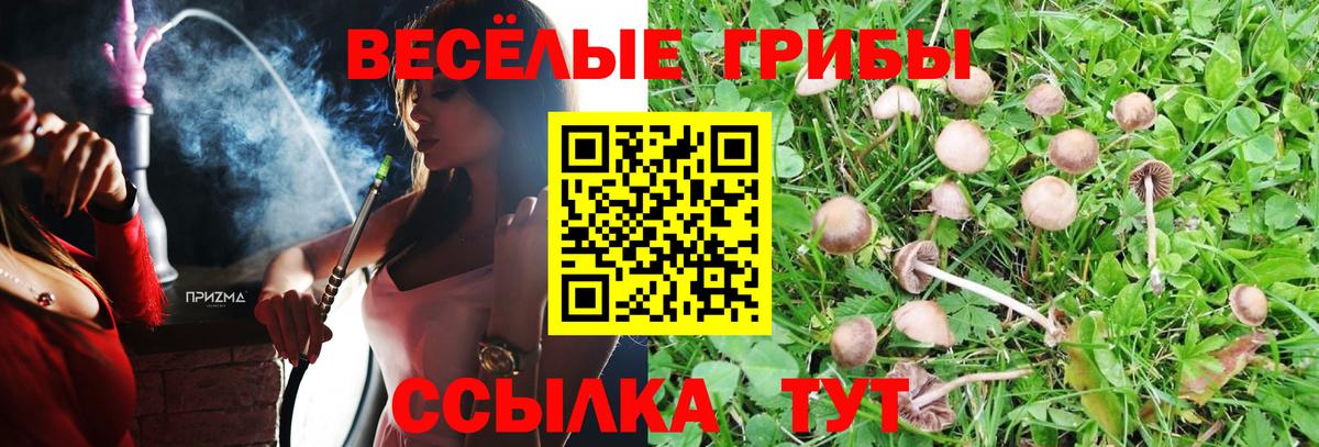 Тольятти  Псилоцибиновые грибы Psilocybine cubensis  Галлюциногенные грибы мицелий  как найти закладки  Вход с VPN 